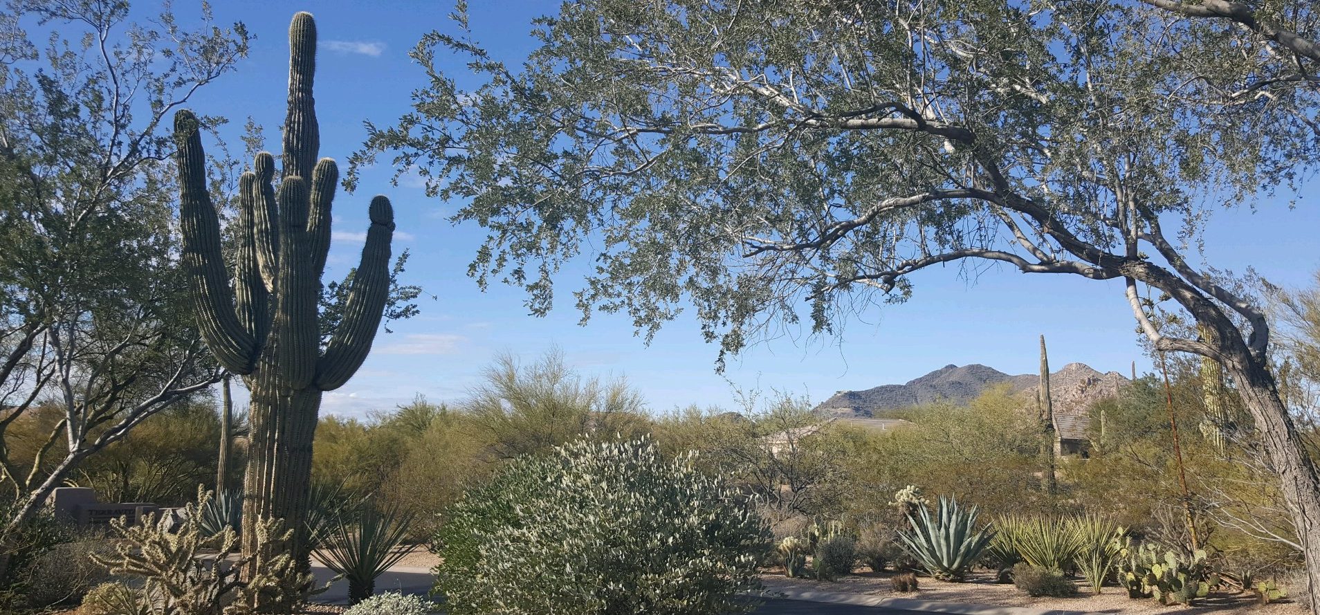 Scottsdale, Arizona scenic view